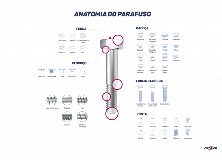 Anatomia do parafuso: conheça cada parte da peça | Blog Ciser