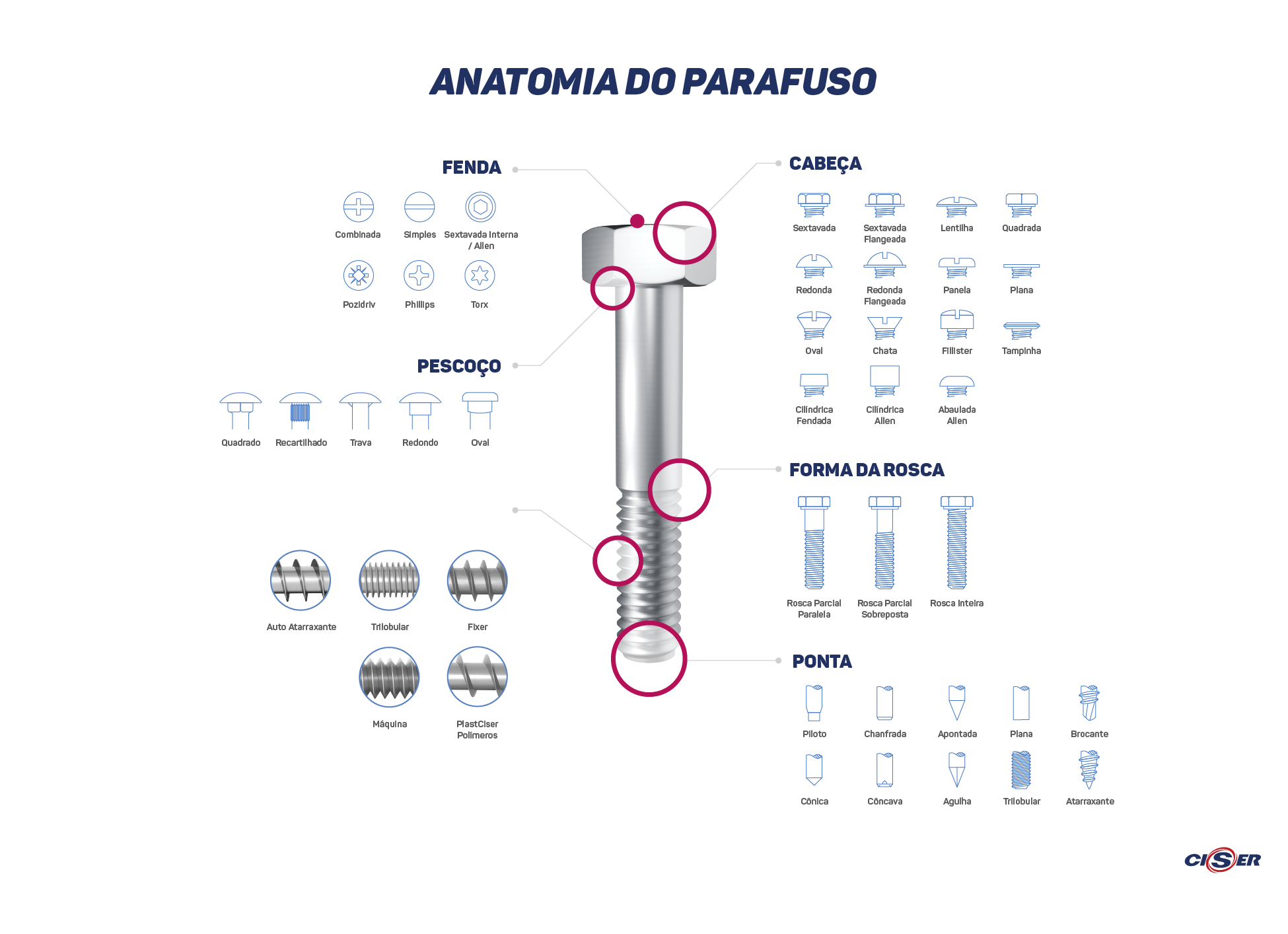 Infográfico explicando a anatomia do parafuso
