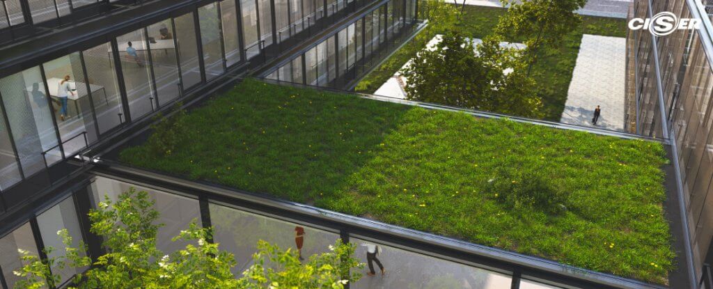 Jardins verticais se destacam na construção sustentável