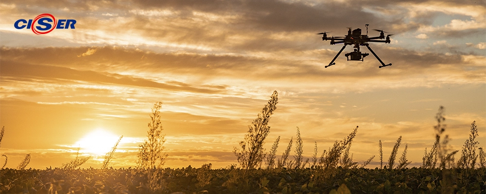Drone sobrevoando plantação durante pôr-do-sol